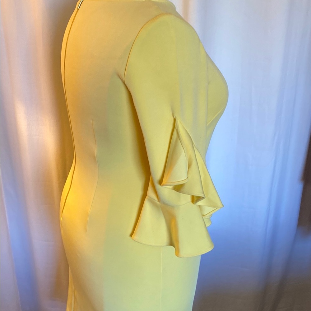 Yellow Ruffle Sleeve Dress - Picture 4 of 9